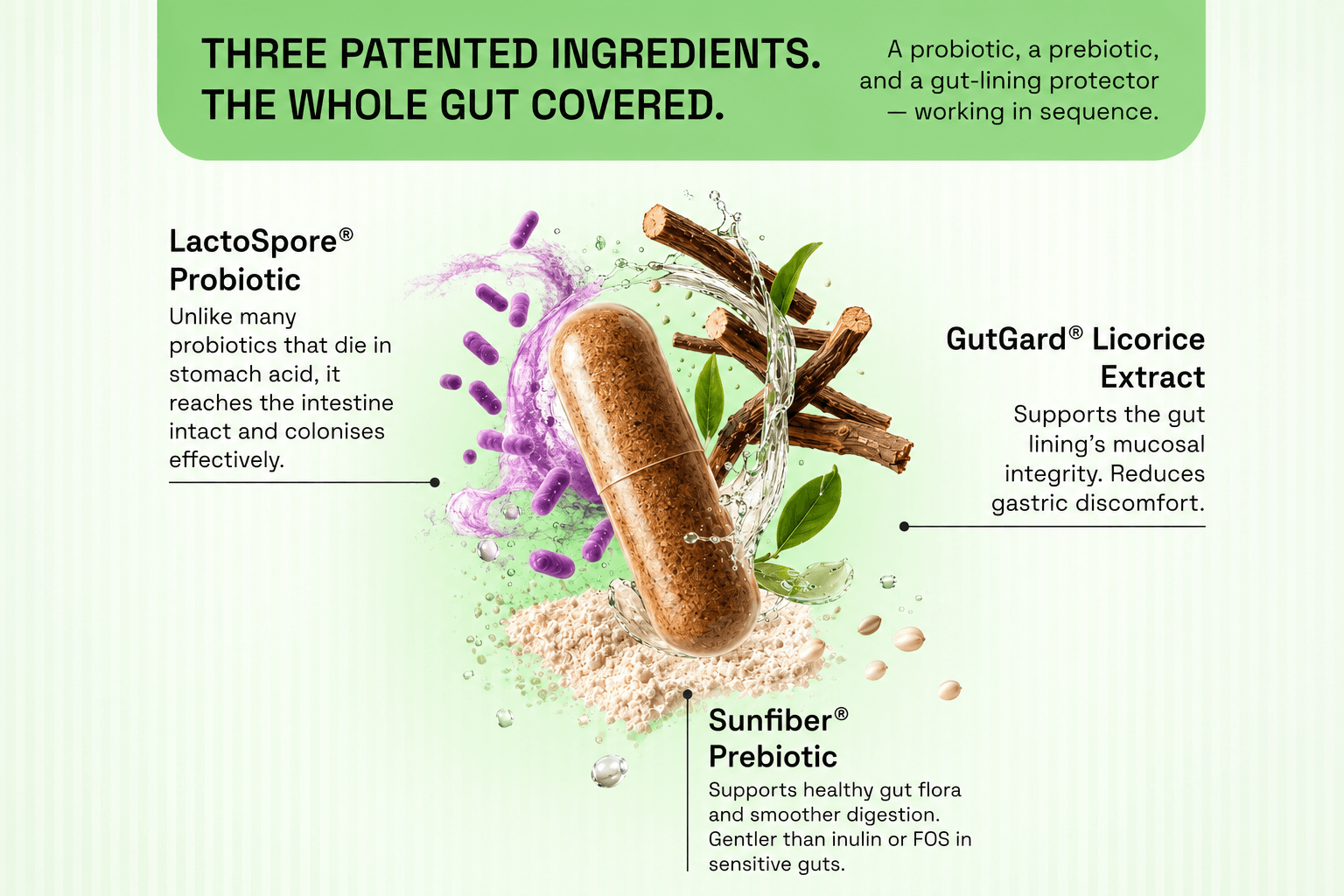 Gut Comfort by Curowise: A Pre + Probiotic Formula Built for Real Indian Eating Habits