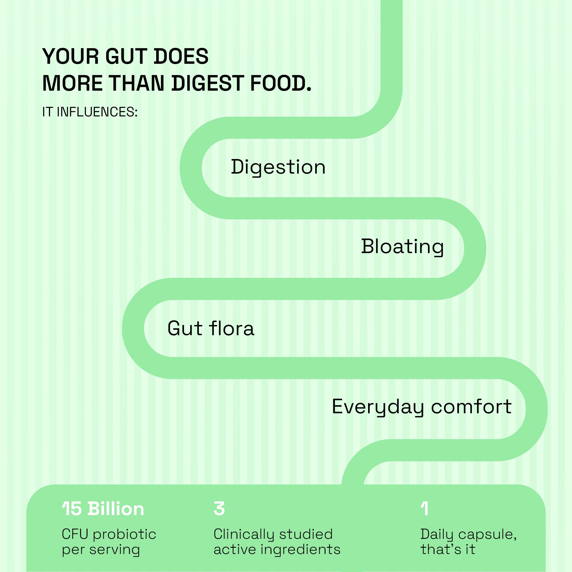 Gut Comfort