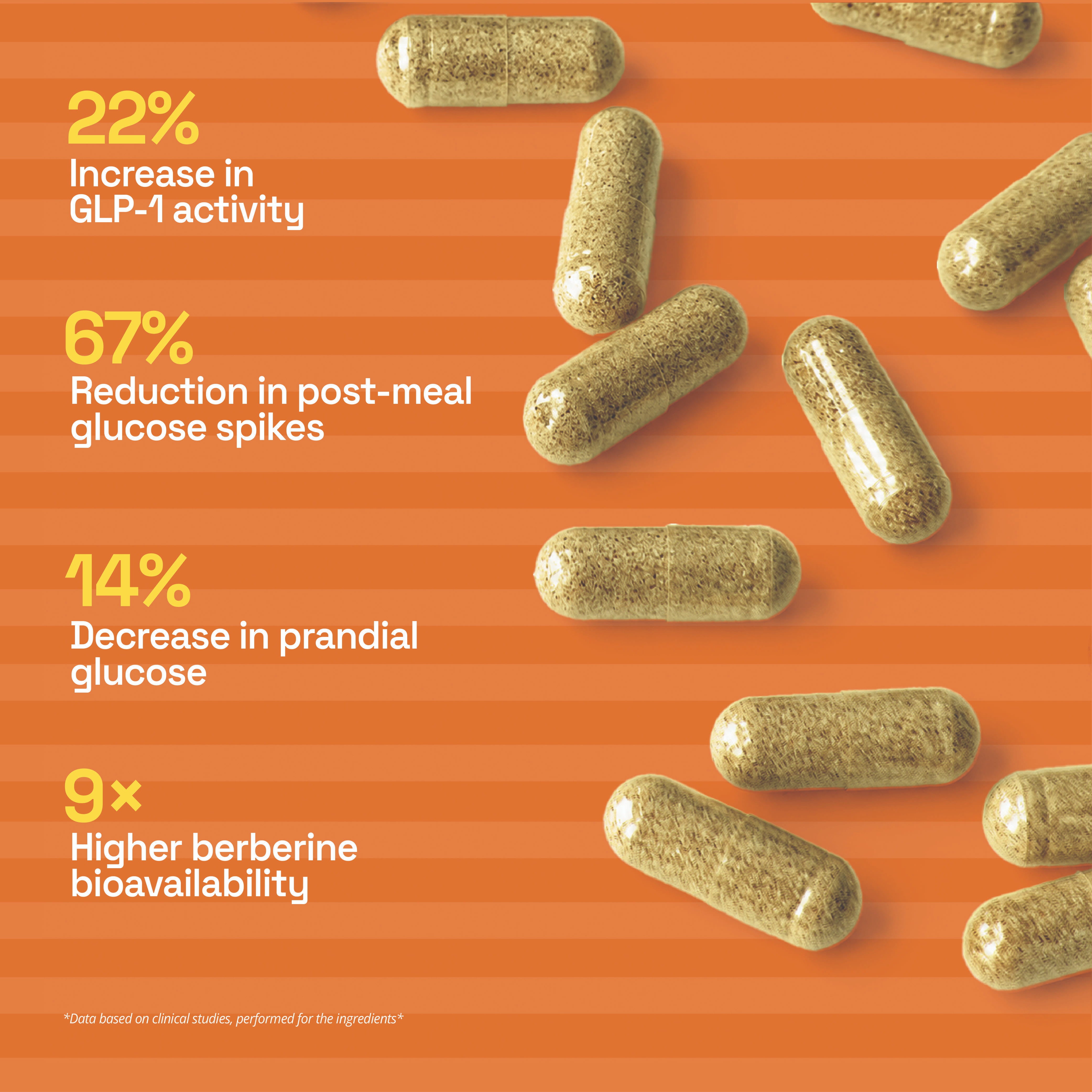 Metabolic Balance